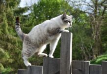 Czym nie jest Agile? Czym nie jest Agile?