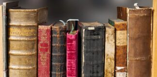 Jakie są cechy literatury?