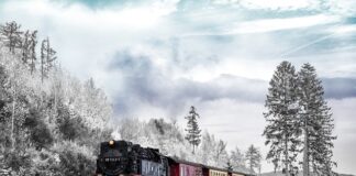 Jaki transport najbardziej zanieczyszcza?
