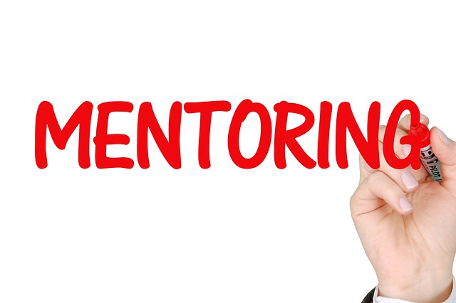 Na czym polega mentoring branżowy?
