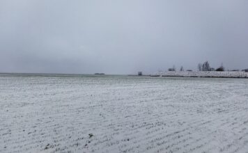 Co to jest ocenianie kształtujące?